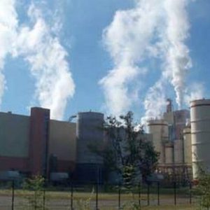 Ampliación de Planta Arauco: “Nos enfrentamos a un caso similar a Hidroaysén”