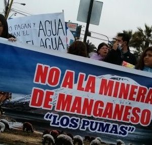 Arica: Fallo de la Justicia que anula aprobación de Los Pumas es calificado de triunfo ciudadano