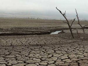 El millonario negocio del agua II: Cómo se fraguó la insólita legislación que tiene a Chile al borde del colapso hídrico