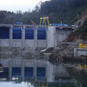 Central Hidroeléctrica Angostura: La influencia del poder económico por sobre el Estado.