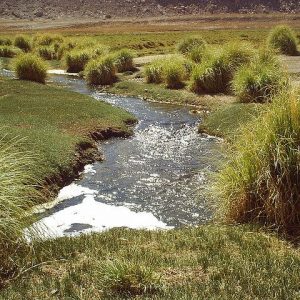 Un río marginado y despreciado