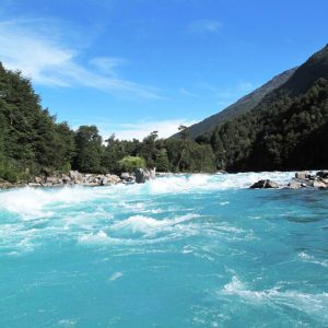 La pelea por las torres del río Puelo