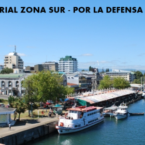 Encuentro Territorial Zona Sur – Por la Defensa del Agua y la Vida