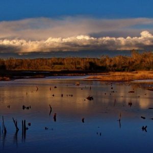 Renovada conciencia ambiental protege humedades chilenos de norte a sur