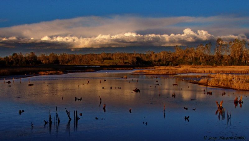 Renovada conciencia ambiental protege humedades chilenos de norte a sur