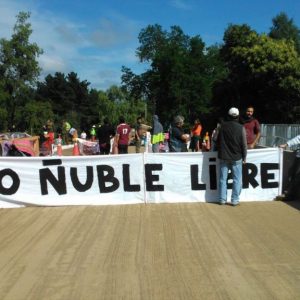 Puntilla admite sobrecosto por US$ 70 mills. en central Ñuble