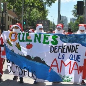 Viejos pascueros protestan contra reactivación de polémicos proyectos medioambientales en Biobío