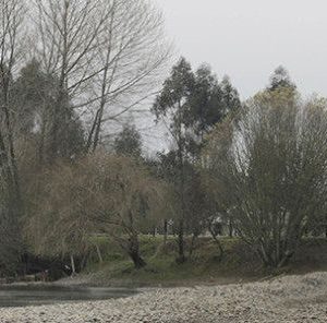 Millonaria multa a empresa de extracción de áridos que modificó curso de río Calle Calle