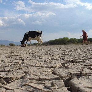 Región Metropolitana enfrenta el séptimo mes de mayo más seco desde 1969