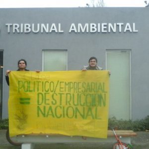Interponen denuncia contra Ñuble Spa por tala de bosque nativo
