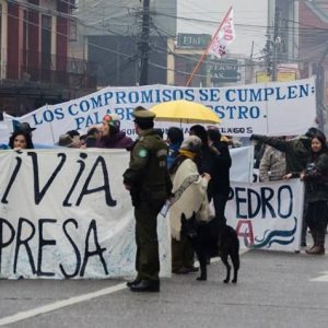 Valdivia sin Represa: No a la Central Hidroeléctrica San Pedro