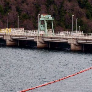 Agrupación rechaza instalación de proyecto hidroeléctrico en Río Bueno.