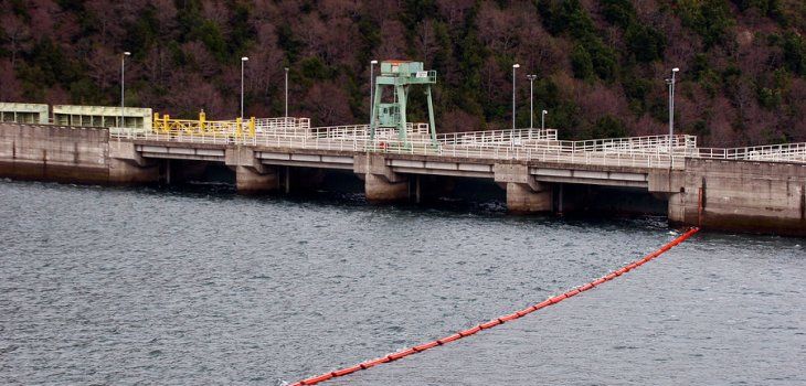 Agrupación rechaza instalación de proyecto hidroeléctrico en Río Bueno