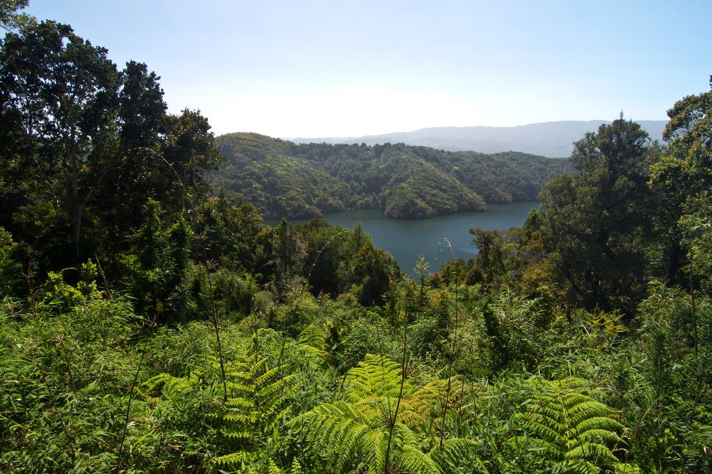 El proyecto hidroeléctrico de Los lagos no se paraliza.