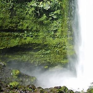 EMPRESA PROYECTA CONSTRUIR UNA MINI HIDROELÉCTRICA A METROS DEL SALTO DE AGUA EN LAS CASCADAS