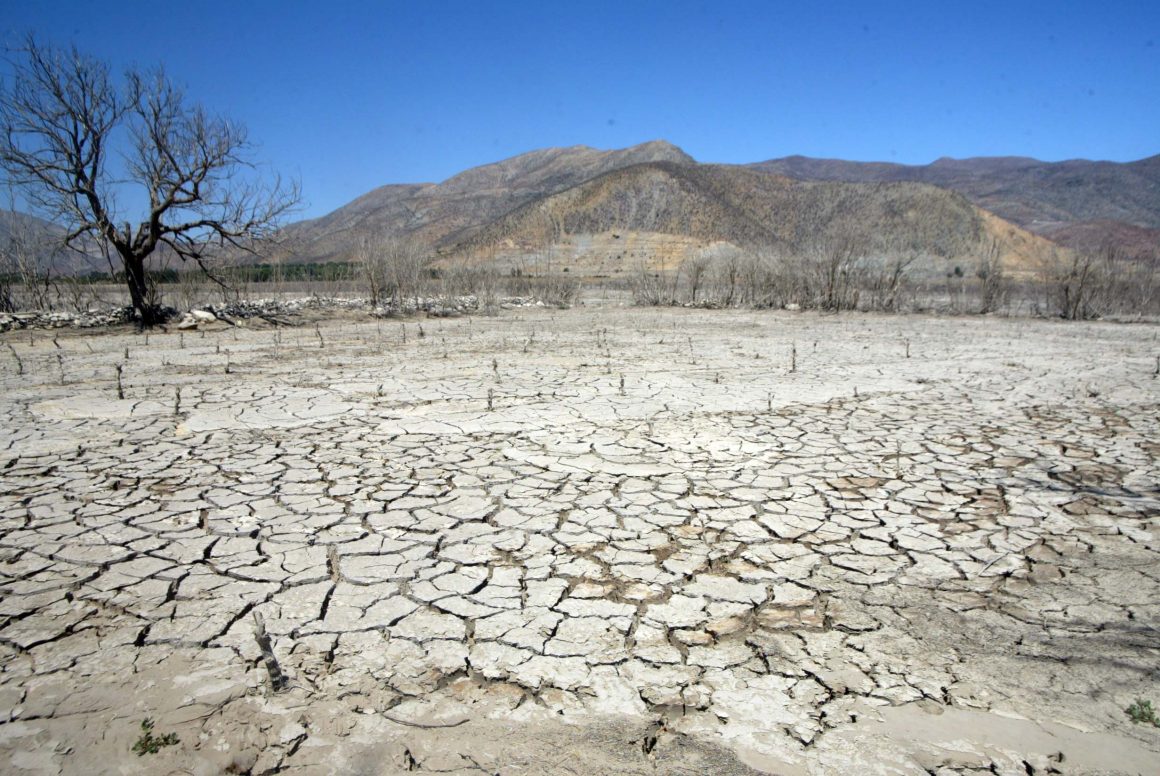 Sequía, deforestación y basura son los temas ambientales que más preocupan a los chilenos