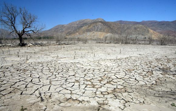 Sequía, deforestación y basura son los temas ambientales que más preocupan a los chilenos