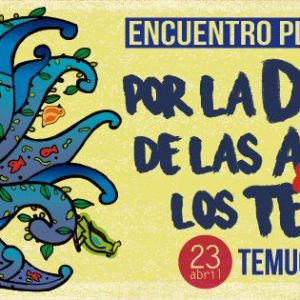 23 de abril: Encuentro Plurinacional por el Agua en Temuco