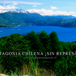Declaración Pública de Consejo de Defensa de la Patagonia por platas de Chile Ambiente