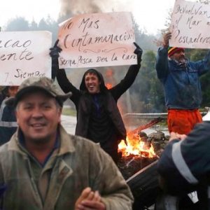 CODEFF exige aclarar vertido de salmones putrefactos en costas de Chiloé