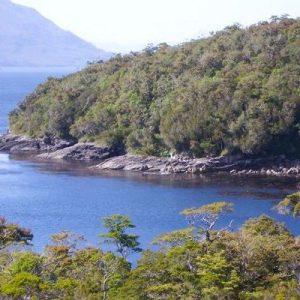 Organizaciones se unen para frenar expansión salmonera en Reserva Nacional Las Guaitecas