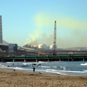 ¡Desde Quintero hasta Cachagua! Estudio reveló contaminación en agua de mar, sedimento y efectos negativos en las algas