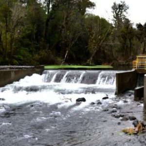 Aysén y La Araucanía concentran pugnas por proyectos energéticos