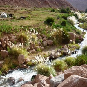 Aprobado estudio para trasladar agua desde Santiago a Casablanca