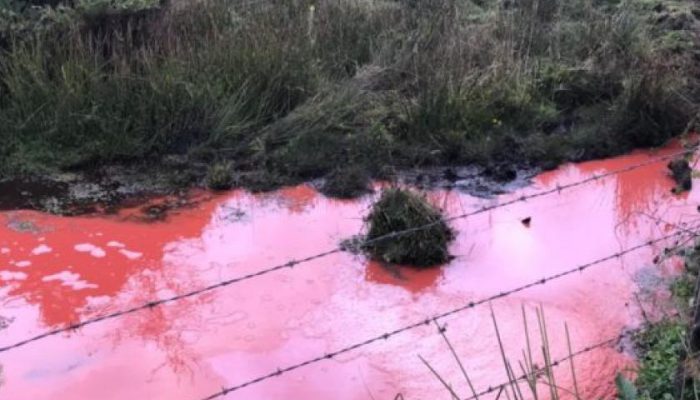 Municipalidad de Chonchi iniciará acciones legales por derrame de pintura en río Trainel