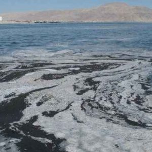Estudio investigará contaminación en la bahía de Antofagasta