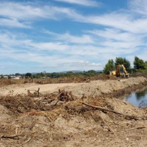 Acogen recurso de protección contra de minera por intervención a ríos Valdivia y Cruces