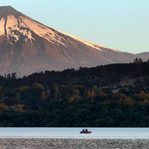 Organizaciones ambientales se oponen a anfiteatro en borde de lago Villarrica: Dañará humedales