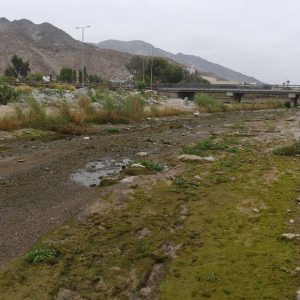 Coordinadora de los sectores bajos anuncia espacios para firmar petición por que el Río Copiapó fluya libre