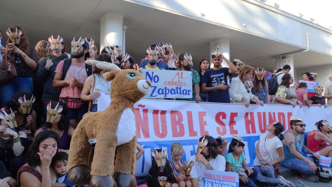 “Ñuble se hunde”: Vecinos y movimientos sociales se unen en rechazo a proyecto Embalse La Punilla