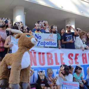 “Ñuble se hunde”: Vecinos y movimientos sociales se unen en rechazo a proyecto Embalse La Punilla