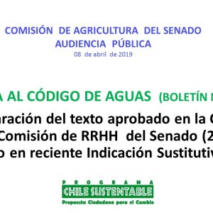 Sara Larraín expone en Comisión de Agricultura del Senado por Reforma al Código de Aguas