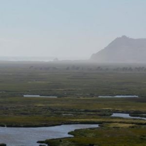 El cuidado de las aguas lluvias para mejorar la protección de los humedales