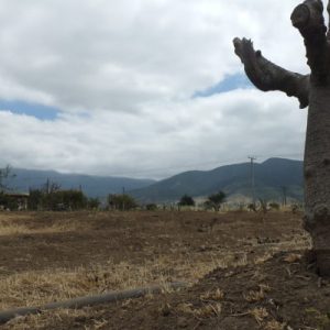 MOP reacciona por documental «Somos Agua»: A nuestra regulación le falta una DGA que muerda más