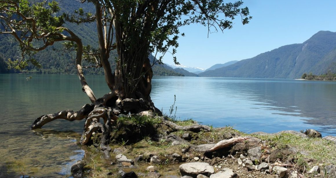 Estudio Mide Impacto Del Cambio Climático En El Sur De Chile: Río Puelo Podría Disminuir Hasta 20% Su Caudal