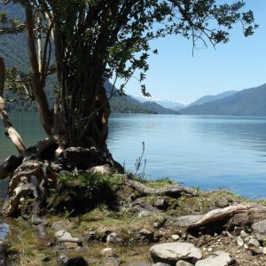 Estudio Mide Impacto Del Cambio Climático En El Sur De Chile: Río Puelo Podría Disminuir Hasta 20% Su Caudal