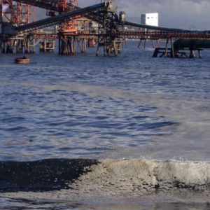 Más de 2 mil pescadores artesanales demandan a ESSBIO por contaminación del agua