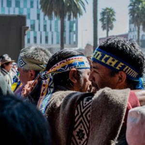 Mapuche ganan pulseada por derechos de agua del Bío Bío