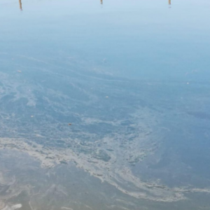 Regantes acusan vertido de hidrocarburos en canal Romeral y crece el temor