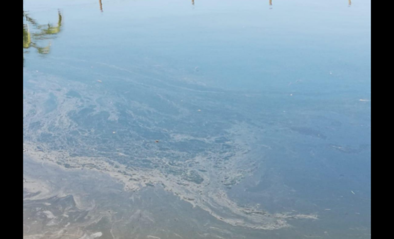 Regantes acusan vertido de hidrocarburos en canal Romeral y crece el temor
