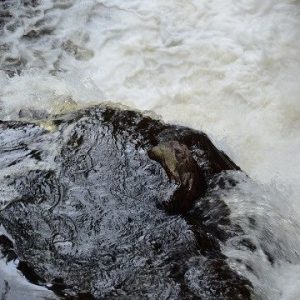 Aguas Andinas invertirá US$500 millones para enfrentar megasequía en la capital