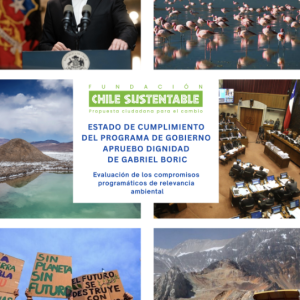 Estado de cumplimiento del programa de gobierno de Apruebo Dignidad de Gabriel Boric