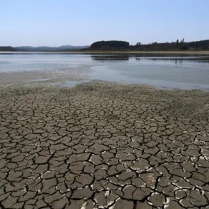 Chile: ¿El agua para la paz?
